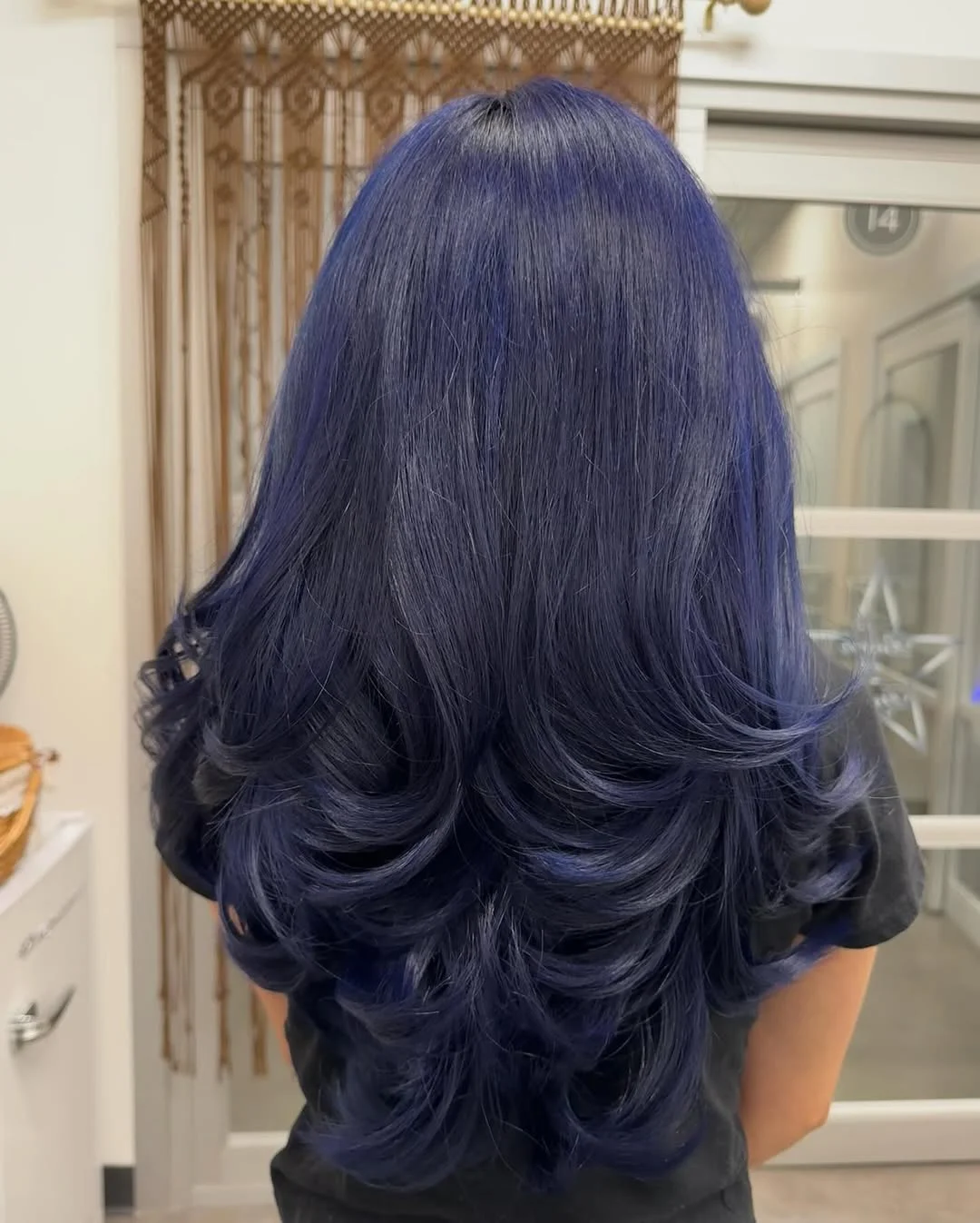 cute summer hair color ideas 2026 + Midnight Blue Gloss on Long Layered Hair