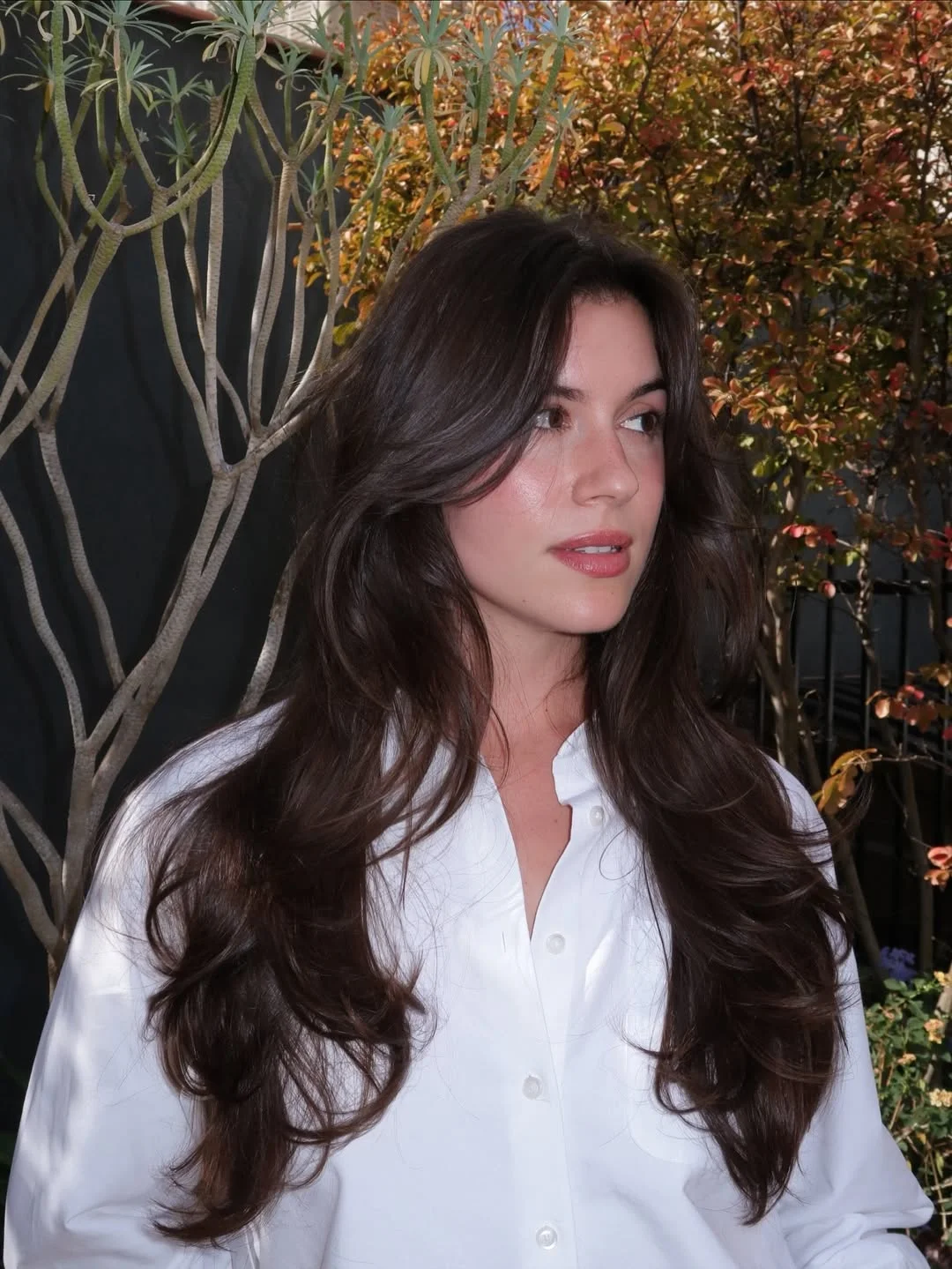 effortless summer haircuts for long hair 2026 + Romantic Espresso Length with Cascading Butterfly Layers