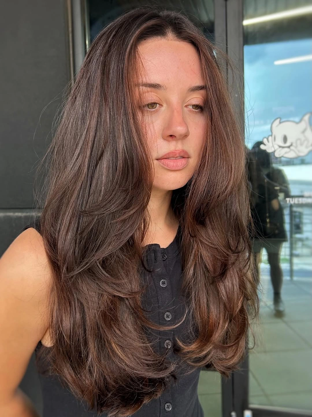 Fall brunette hair colour 2026 Layered Mocha With Feathered Ends