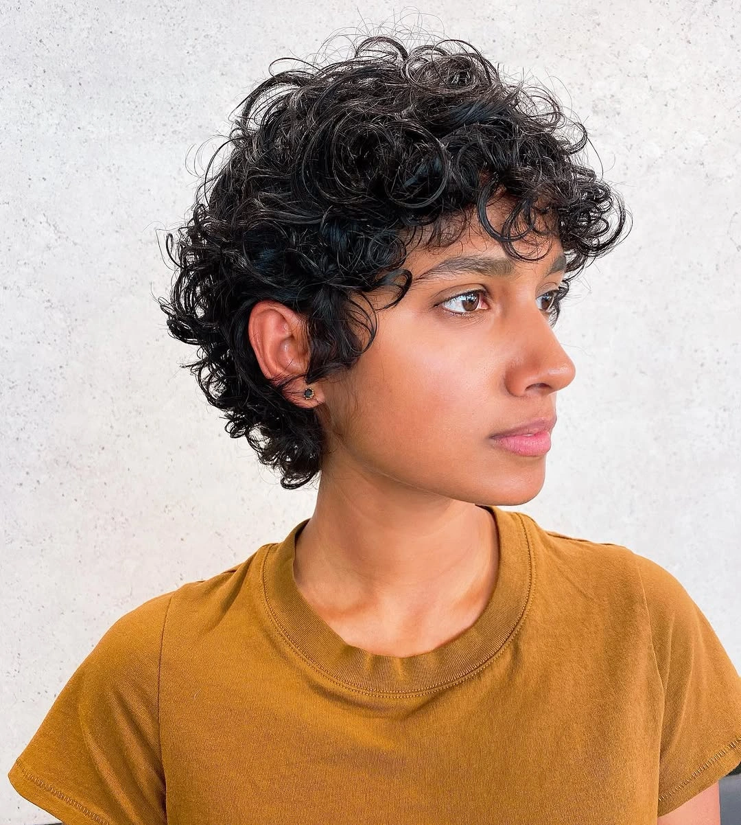 fall hairstyles for short hair 2026 Short Curly Crop With Golden Fall Warmth