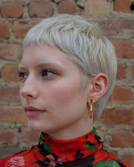 fall pixie haircut ideas 2026 Frosted Platinum Crop With a Graphic Floral Collar