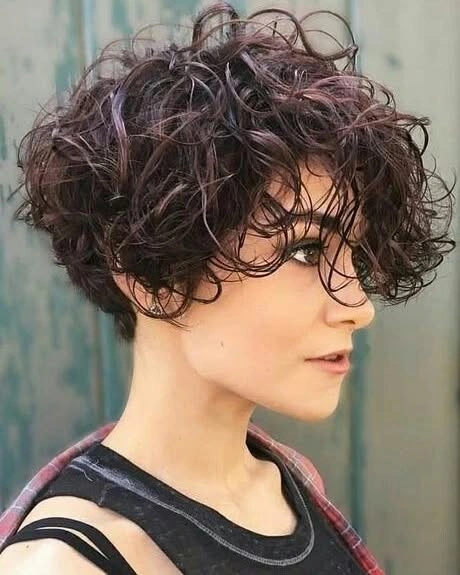 fall pixie haircut ideas 2026 Curly Espresso Pixie With Burgundy Dimension