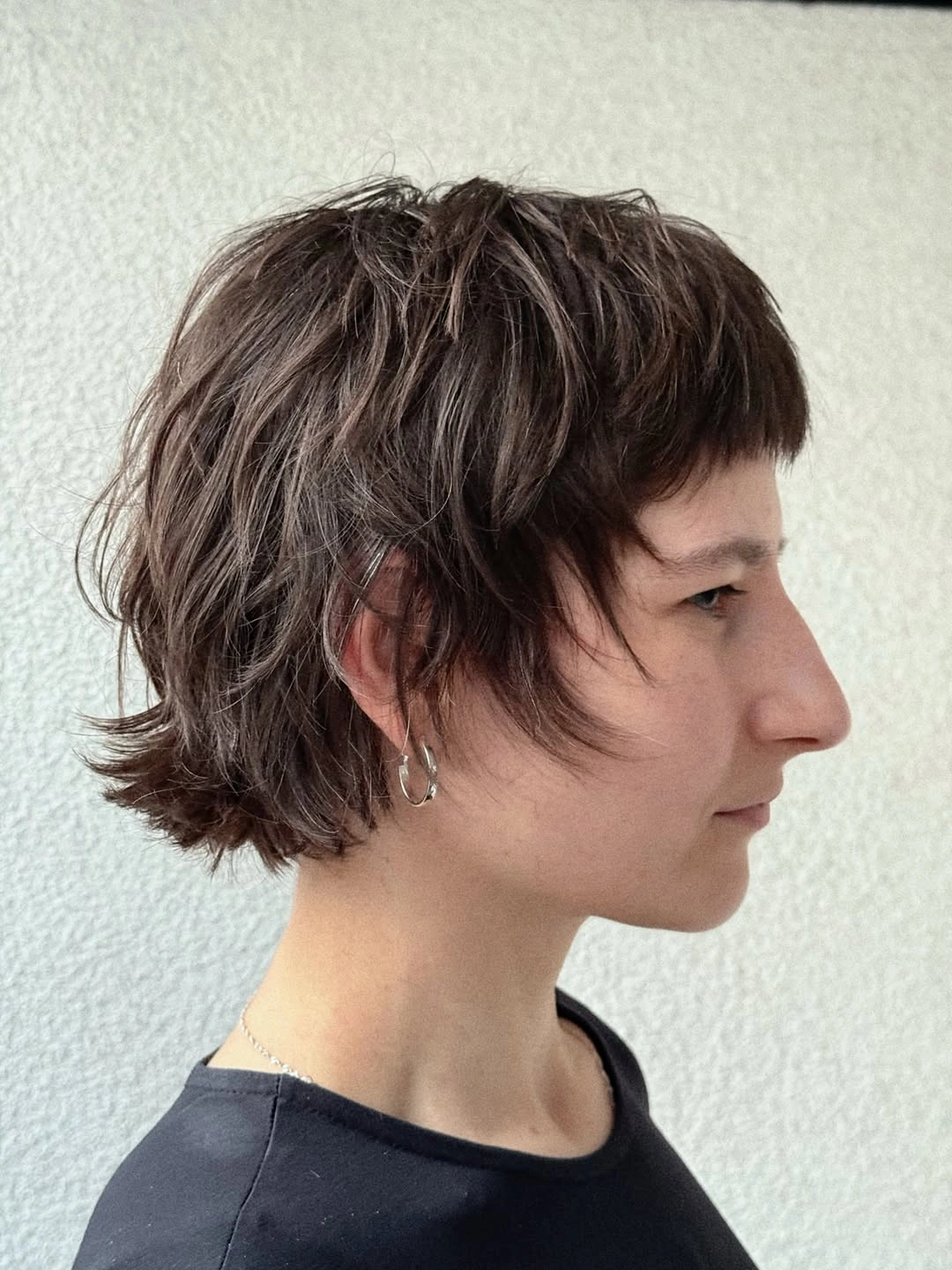 fall short haircuts 2026 + Shaggy Bixie With Soft Rebel Texture