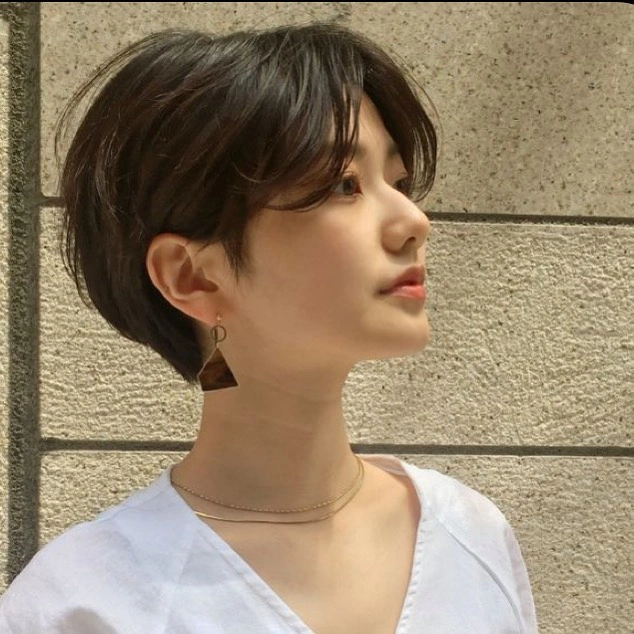 fall short haircuts 2026 + Soft Brown Bob With Airy Curtain Bangs