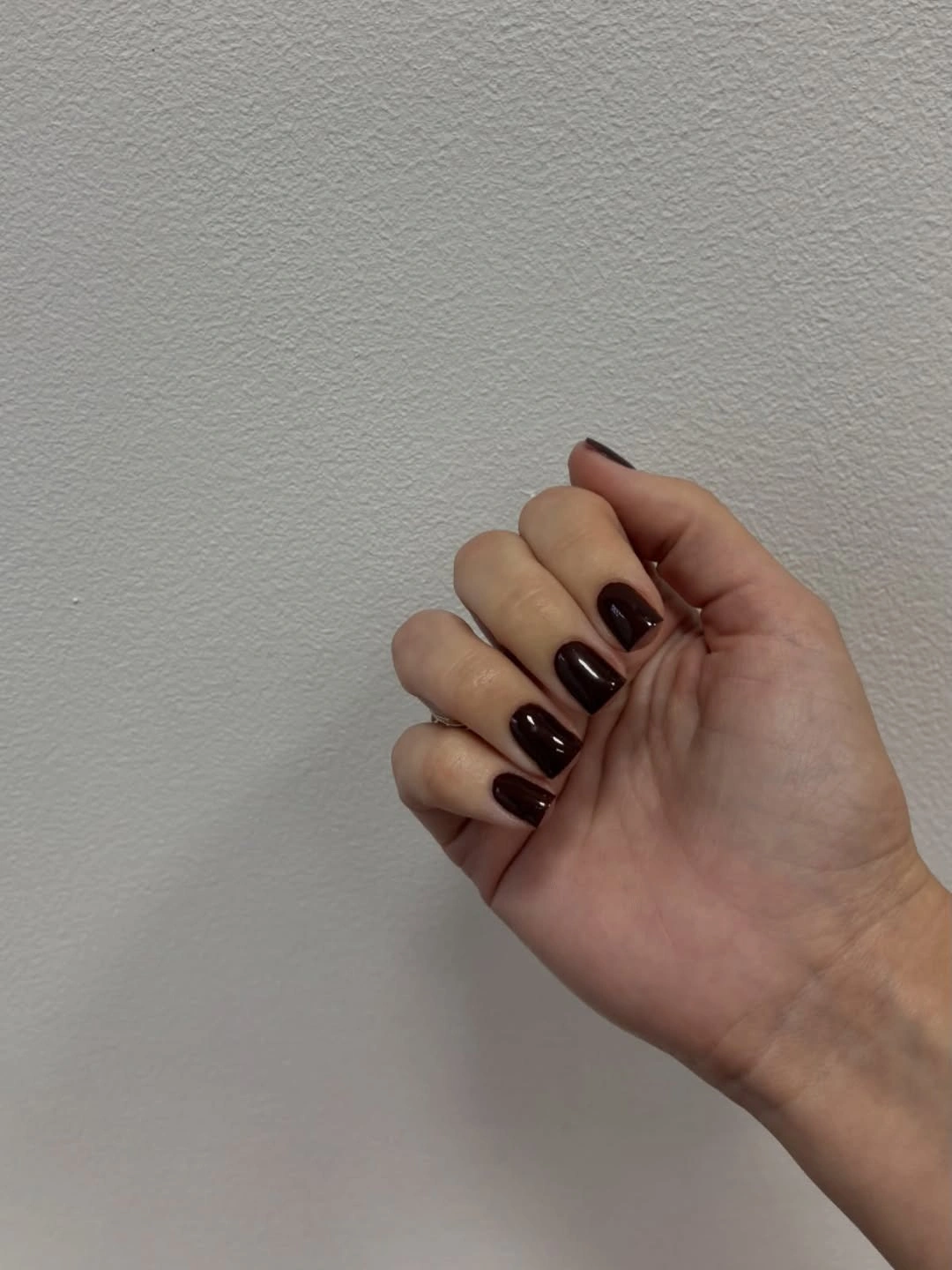 september nails color 2026 Very Dark Burgundy on Short Rounded Nails