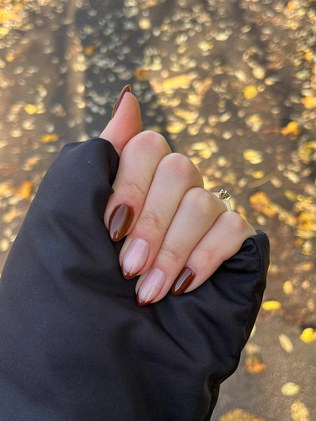 sheer nude with brown and green lines