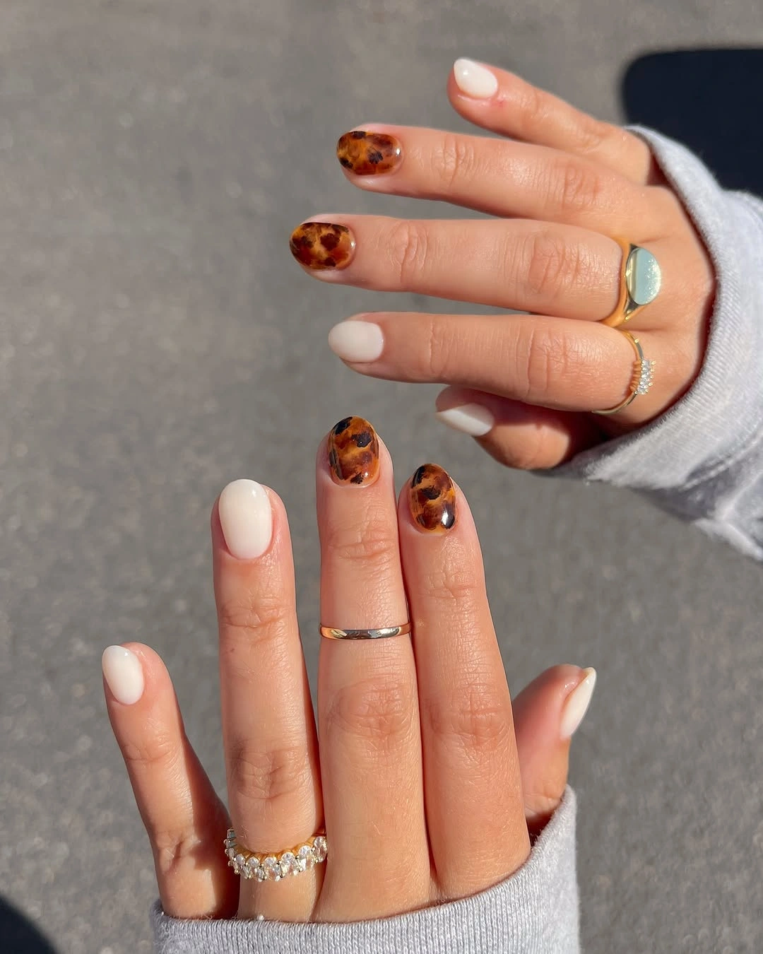 white and amber tortoise panels