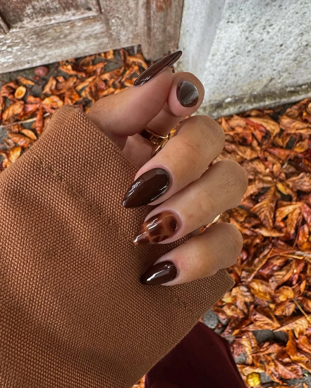 Deep brown pointed nails surrounded by autumn leaves