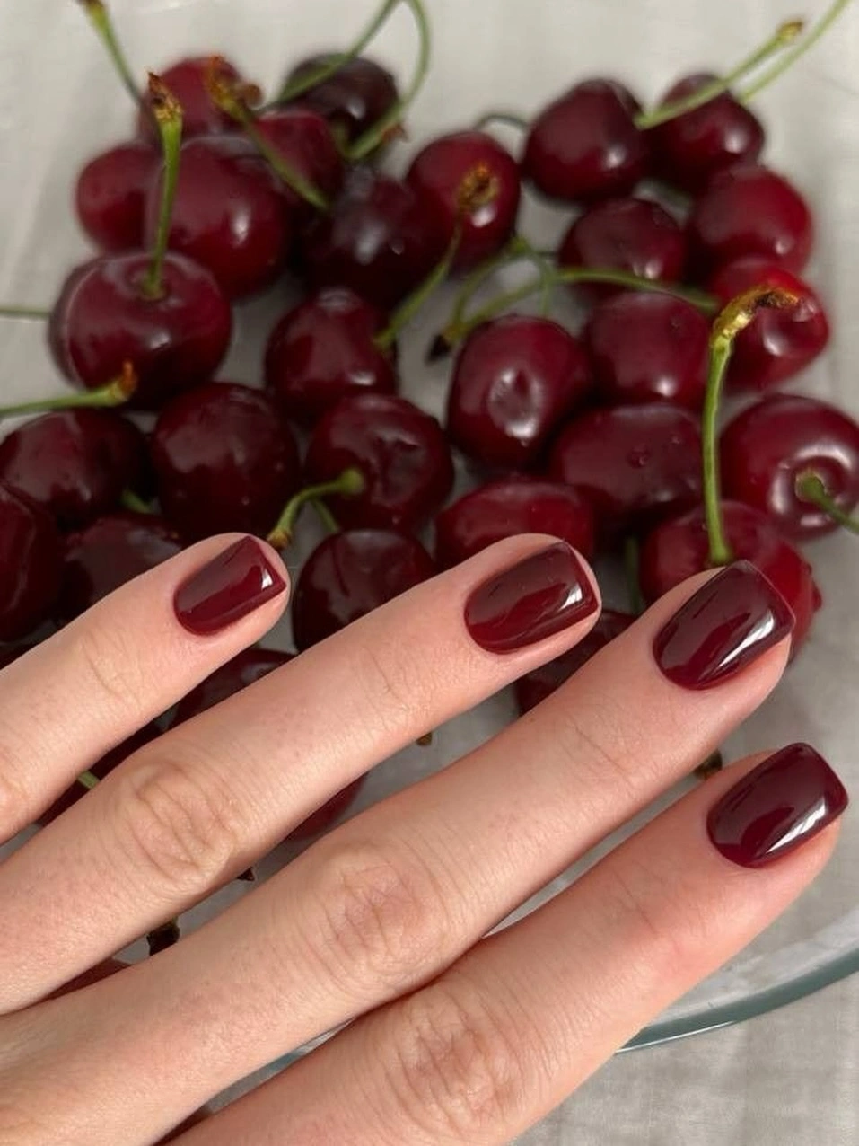 Cherry wine short glossy nails