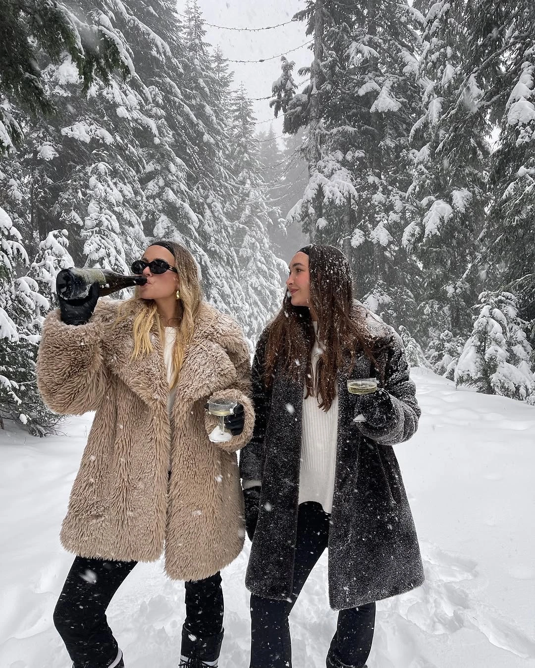 Two shaggy-textured coats with dark lower layers in snow