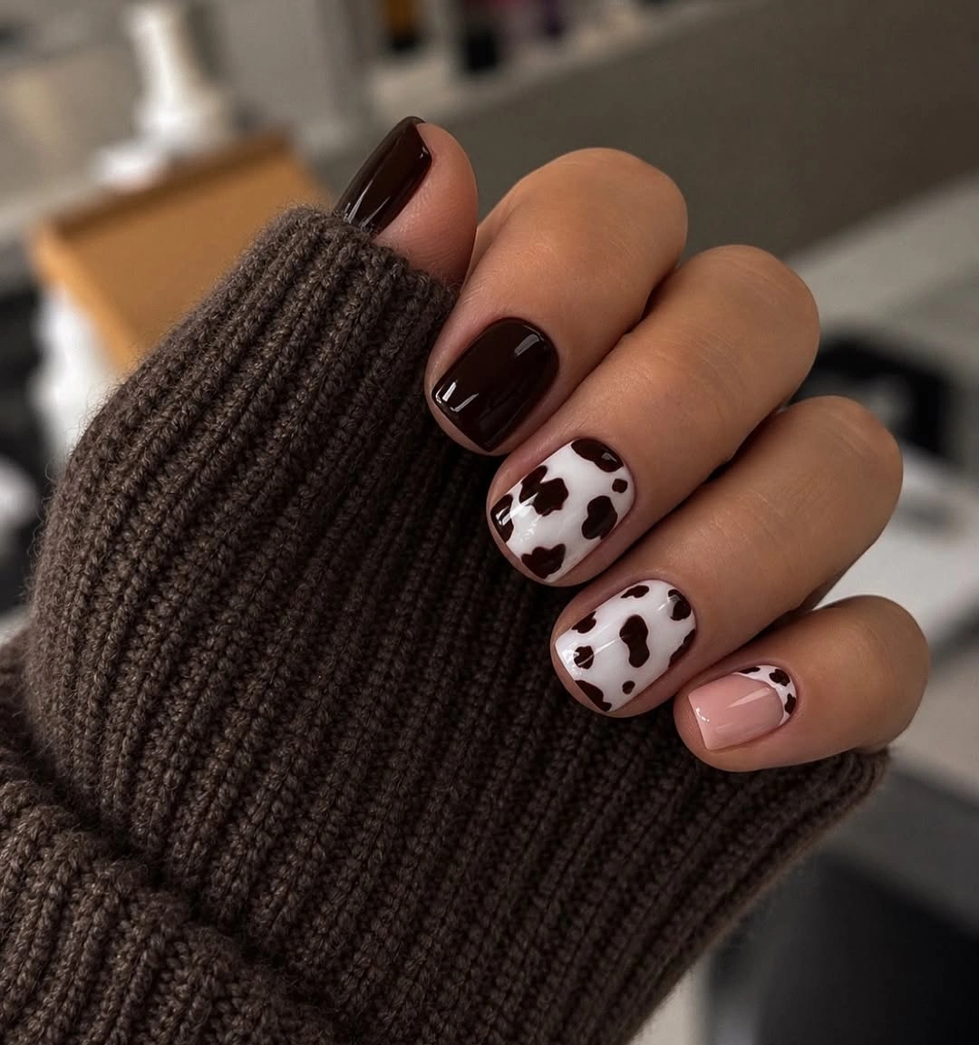 Chocolate brown nails with white spotted accents