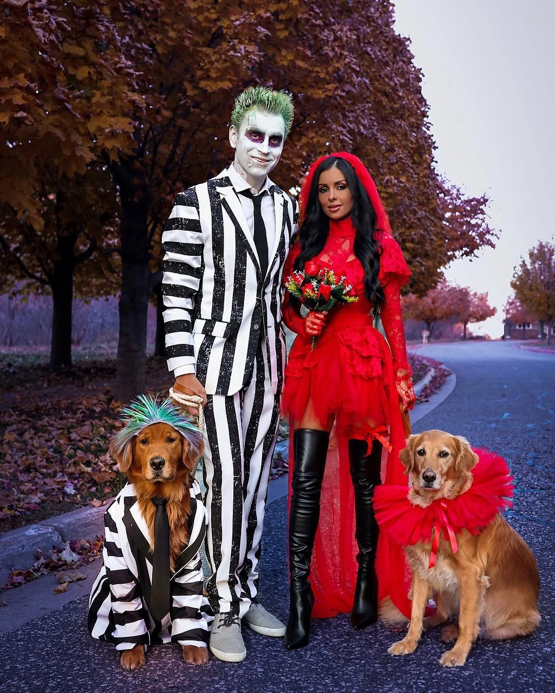 Striped suit red dress and warm-toned dog accessories